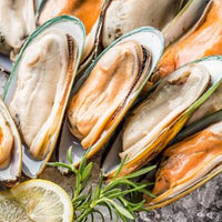 Frozen Half Shell Mussels Meat – Whole Shell, Plump & Tender, Ideal for Grilling and Steaming