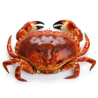 Premium Whole Crab | Meaty, Sweet & Succulent | Restaurant-Grade Seafood