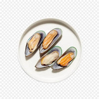 Frozen Half Shell Mussels Meat – Whole Shell, Plump & Tender, Ideal for Grilling and Steaming