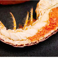 Large Whole Cooked Lobster | Boston Lobster | Easy to Heat & Serve