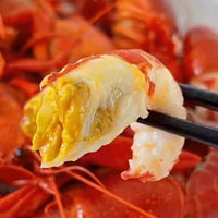 Whole Frozen Crawfish (Crayfish) | Meaty, Juicy & Restaurant Ready