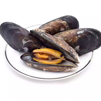 Frozen Half Shell Mussels Meat – Whole Shell, Plump & Tender, Ideal for Grilling and Steaming