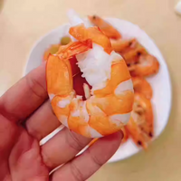 Premium Cooked Shrimp Platter | Peeled Whole Shrimp | Ready-to-Serve Seafood Tray