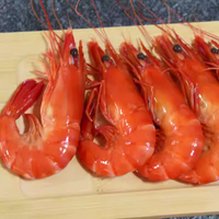 Premium Cooked Shrimp Platter | Peeled Whole Shrimp | Ready-to-Serve Seafood Tray