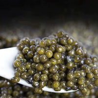 Luxury Black Caviar in Jar | Smooth Texture & Rich Ocean Flavor