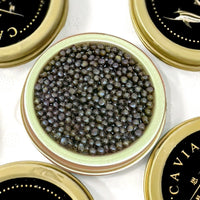 Luxury Black Caviar in Jar | Smooth Texture & Rich Ocean Flavor