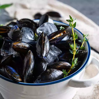 Frozen Half Shell Mussels Meat – Whole Shell, Plump & Tender, Ideal for Grilling and Steaming