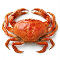 Premium Whole Crab | Meaty, Sweet & Succulent | Restaurant-Grade Seafood