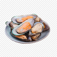 Frozen Half Shell Mussels Meat – Whole Shell, Plump & Tender, Ideal for Grilling and Steaming