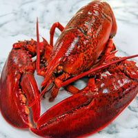 Large Whole Cooked Lobster | Boston Lobster | Easy to Heat & Serve